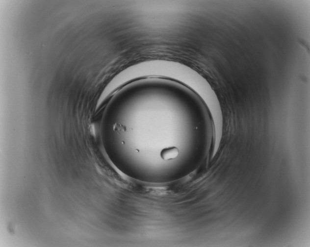 X0000099380332200805151624