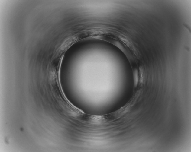 X0000099380333200805151624