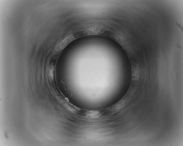 X0000099380334200805151624