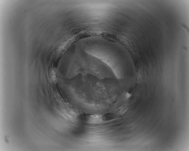 X0000099380335200805151624