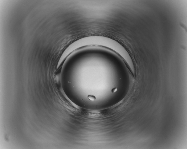 X0000099380336200805151624