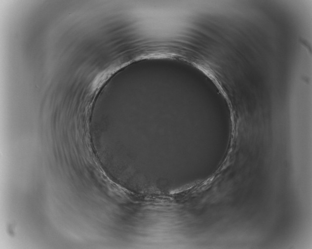 X0000099380337200805151624