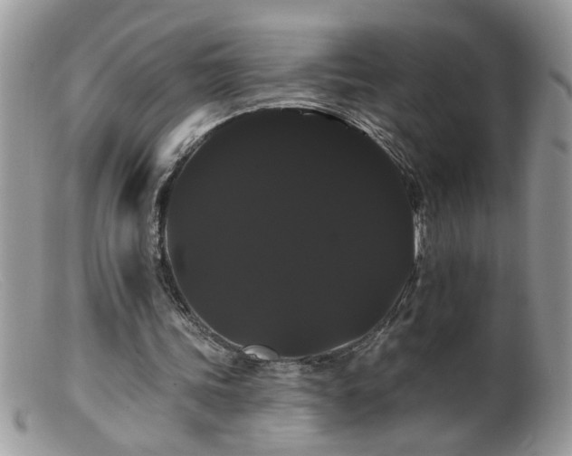 X0000099380339200805151624