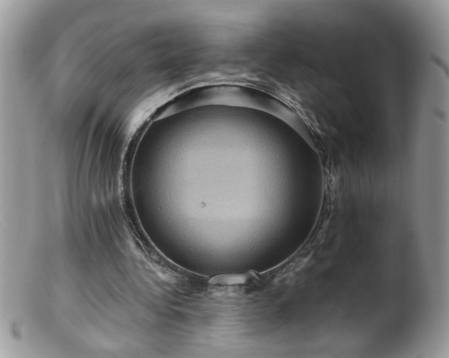 X0000099380340200805151624