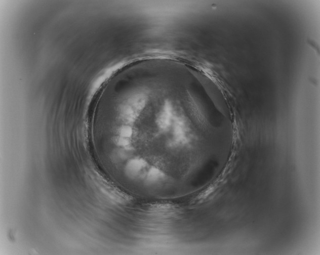 X0000099380342200805151624