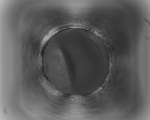 X0000099380343200805151624