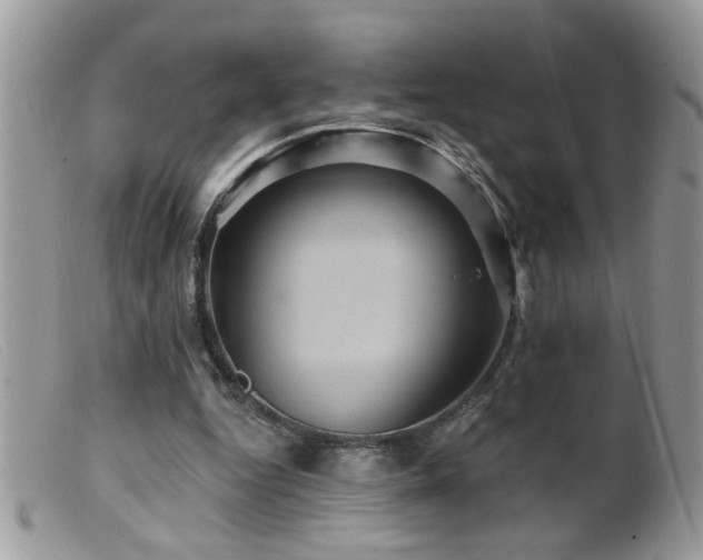 X0000099380344200805151624