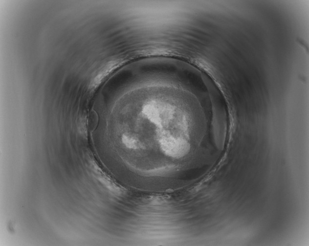 X0000099380345200805151624