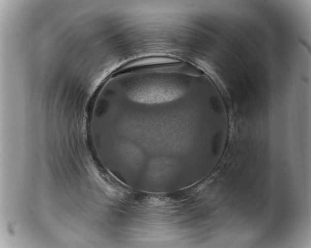 X0000099380346200805151624