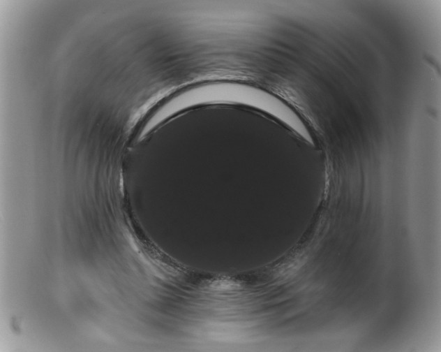 X0000099380348200805151624