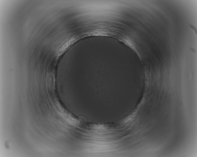 X0000099380349200805151624