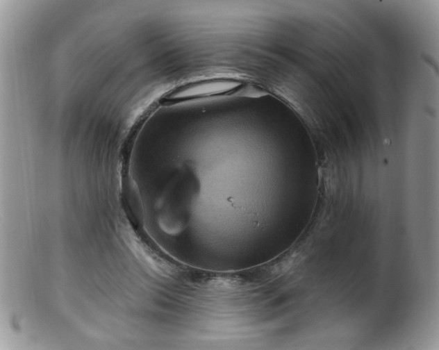 X0000099380350200805151624