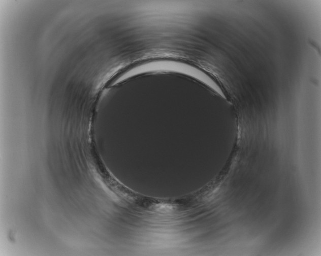 X0000099380352200805151624