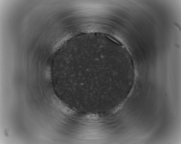 X0000099380353200805151624