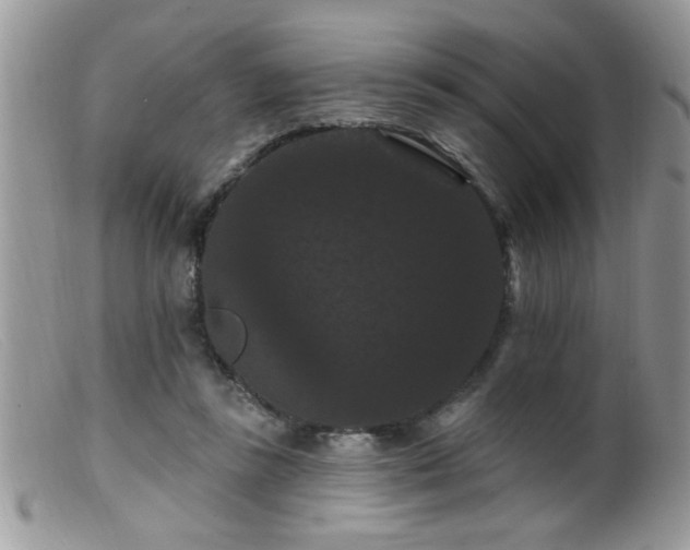 X0000099380355200805151624