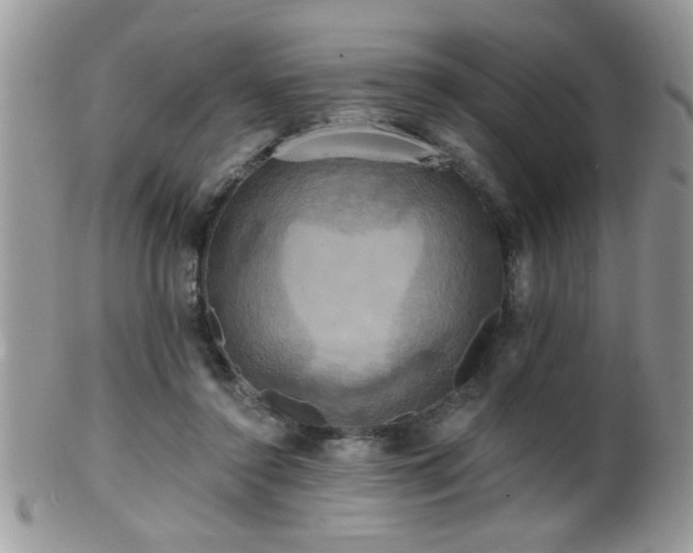 X0000099380356200805151624