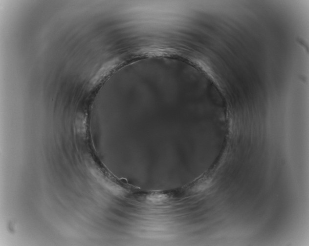 X0000099380357200805151624