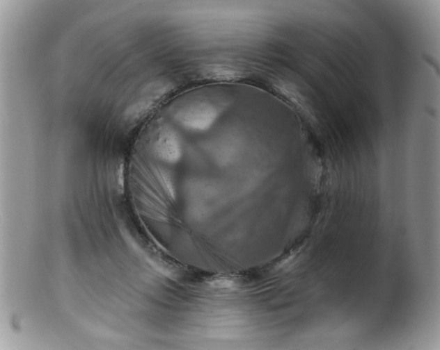 X0000099380358200805151624