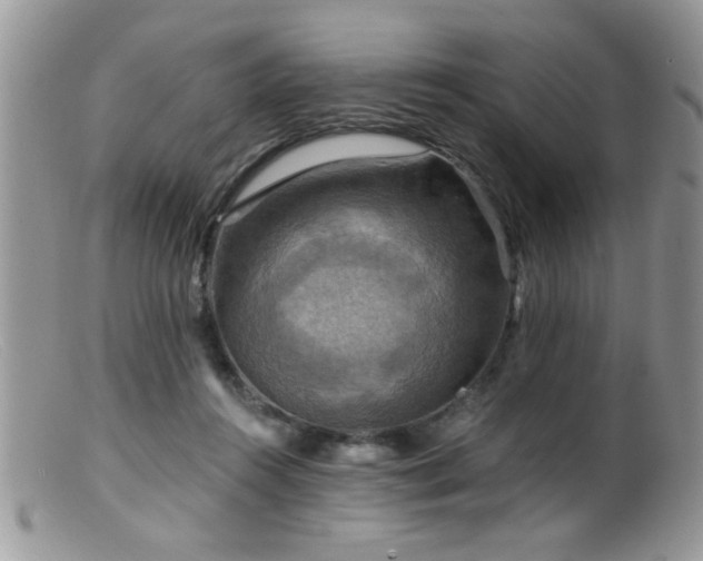 X0000099380360200805151624