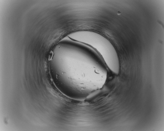 X0000099380362200805151624