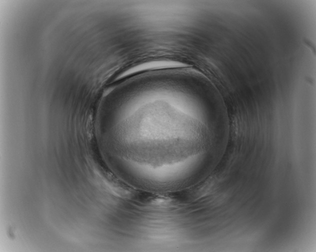 X0000099380364200805151624