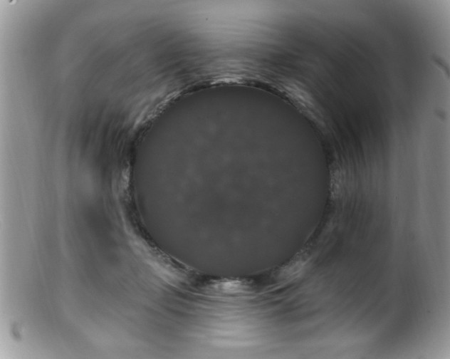 X0000099380365200805151624