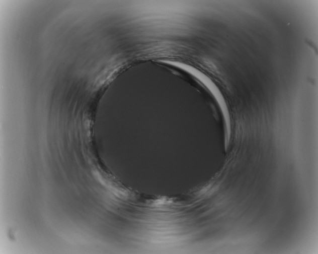 X0000099380366200805151624