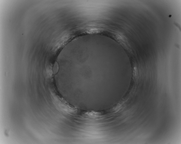 X0000099380367200805151624