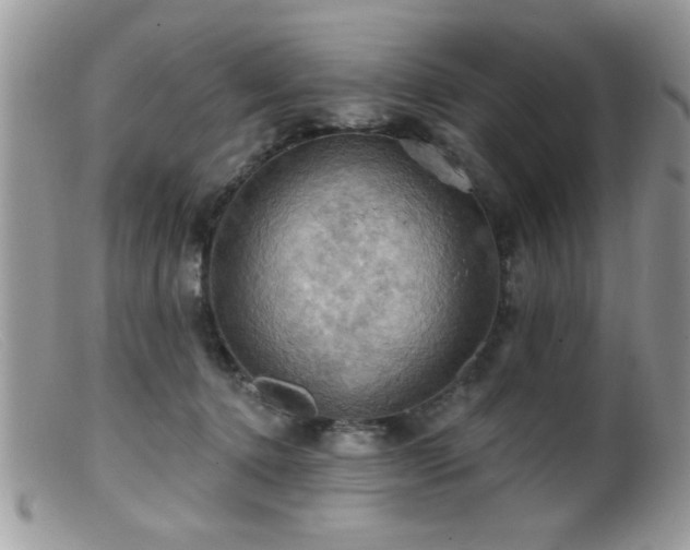 X0000099380368200805151624