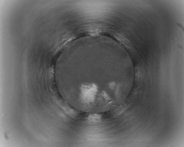 X0000099380369200805151624