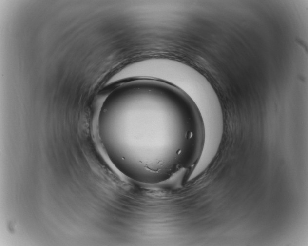 X0000099380370200805151624