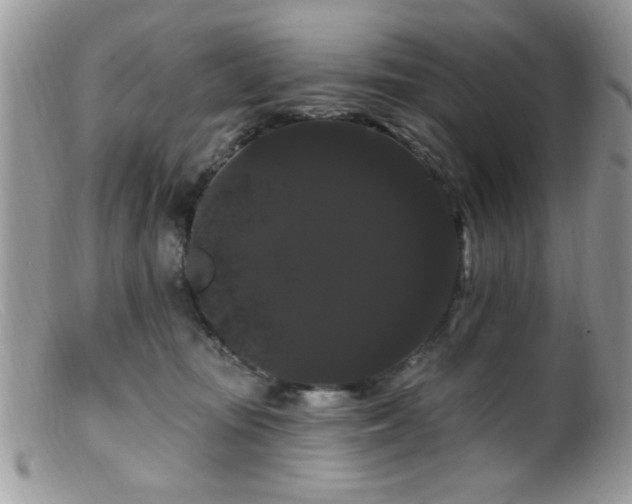 X0000099380371200805151624