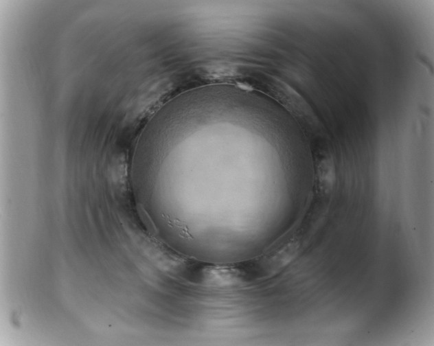 X0000099380372200805151624