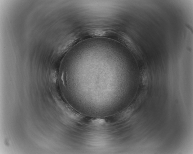 X0000099380374200805151624