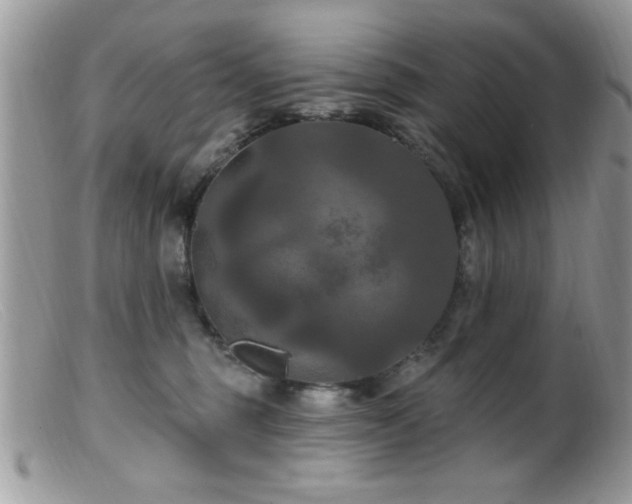 X0000099380375200805151624