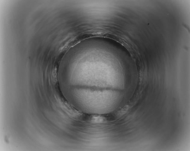 X0000099380376200805151624