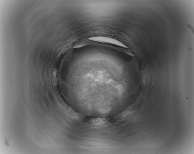 X0000099380378200805151624