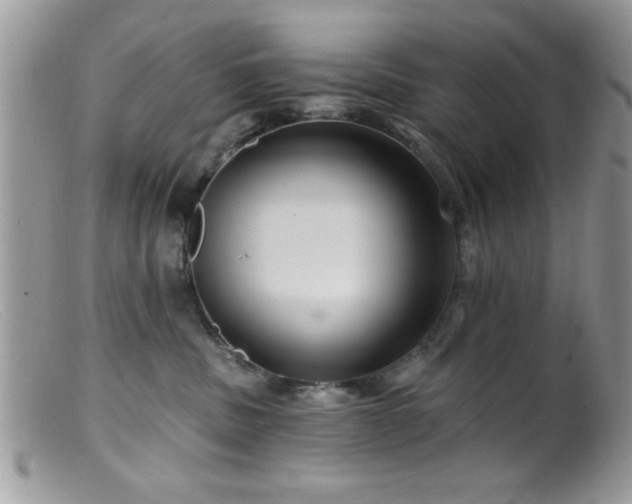 X0000099380379200805151624