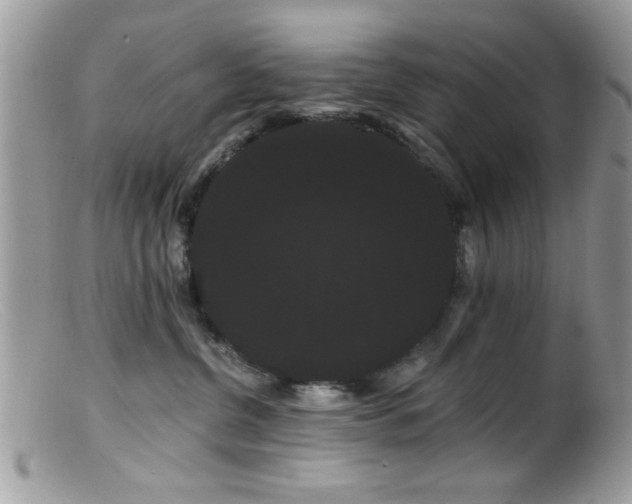 X0000099380380200805151624