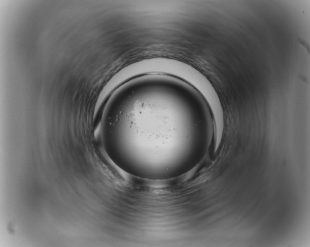 X0000099380382200805151624