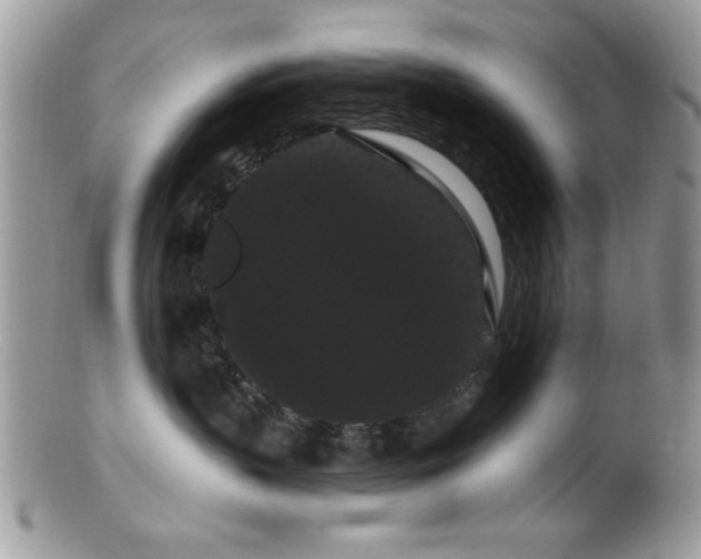 X0000099380383200805151624