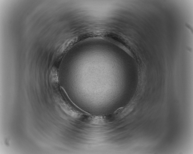 X0000099380384200805151624