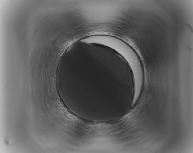 X0000099380385200805151624