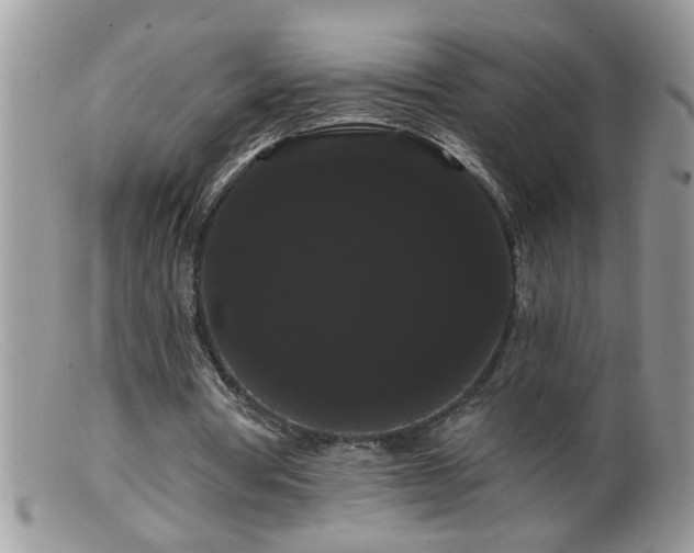 X0000099380386200805151624