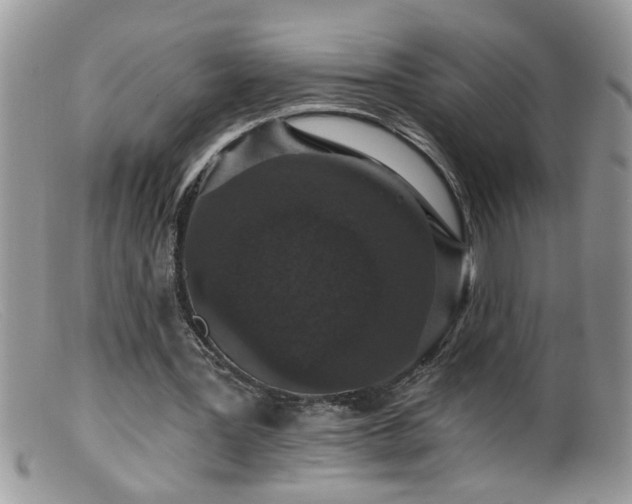 X0000099380387200805151623