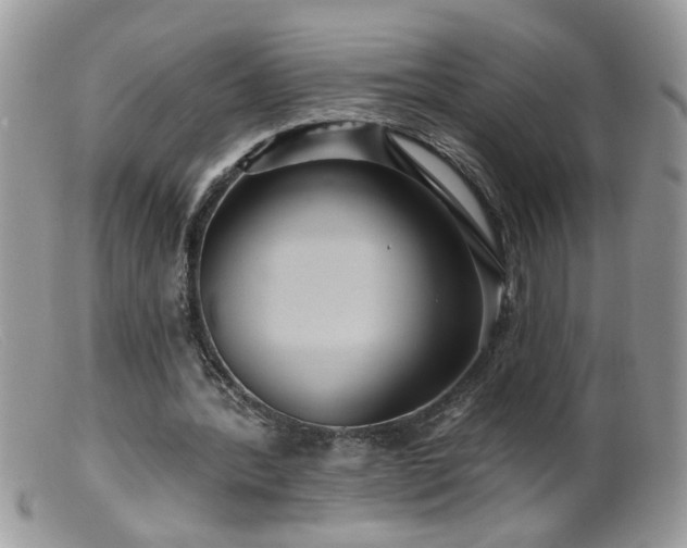 X0000099380388200805151623