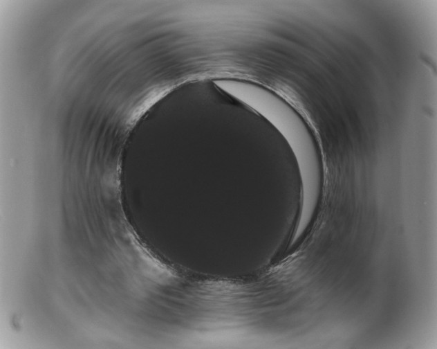 X0000099380389200805151623