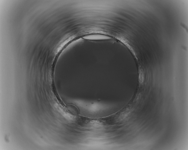 X0000099380390200805151623