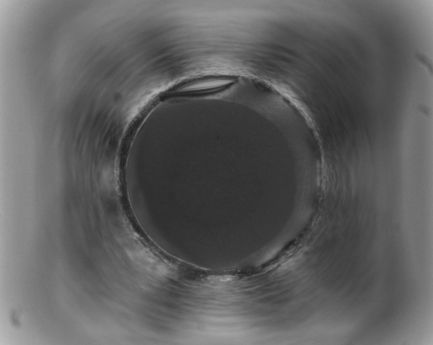 X0000099380391200805151623