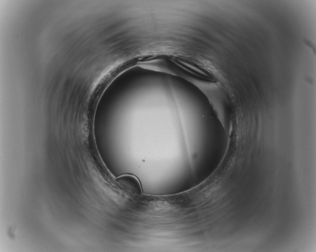 X0000099380392200805151623